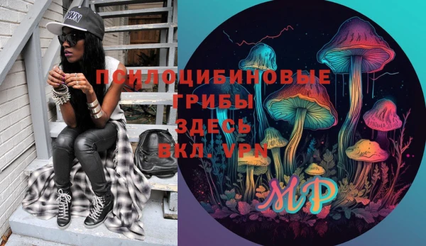 ГАЛЛЮЦИНОГЕННЫЕ ГРИБЫ Чердынь