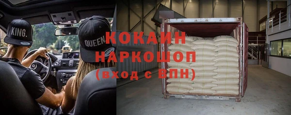 прущие грибы Чекалин
