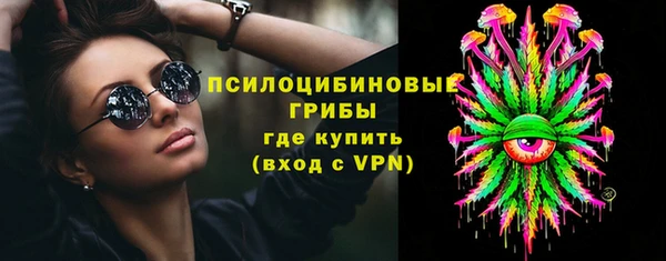 ГАЛЛЮЦИНОГЕННЫЕ ГРИБЫ Чердынь