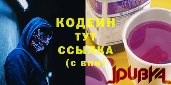 прущие грибы Чекалин