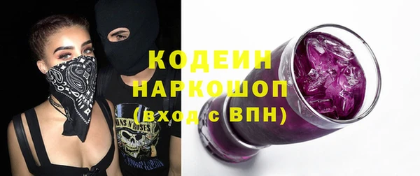 прущие грибы Чекалин