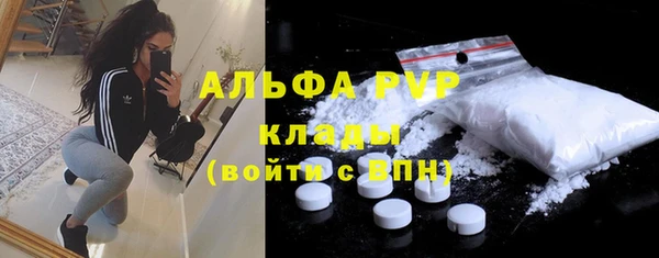 ГАЛЛЮЦИНОГЕННЫЕ ГРИБЫ Чердынь
