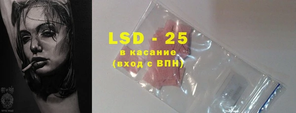 прущие грибы Чекалин