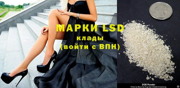 ГАЛЛЮЦИНОГЕННЫЕ ГРИБЫ Чердынь