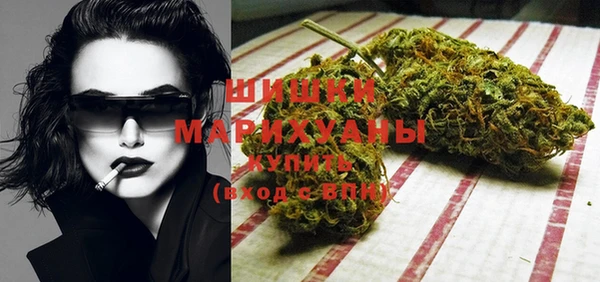 ГАЛЛЮЦИНОГЕННЫЕ ГРИБЫ Чердынь