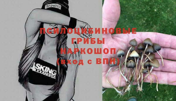 не бодяженный Чегем