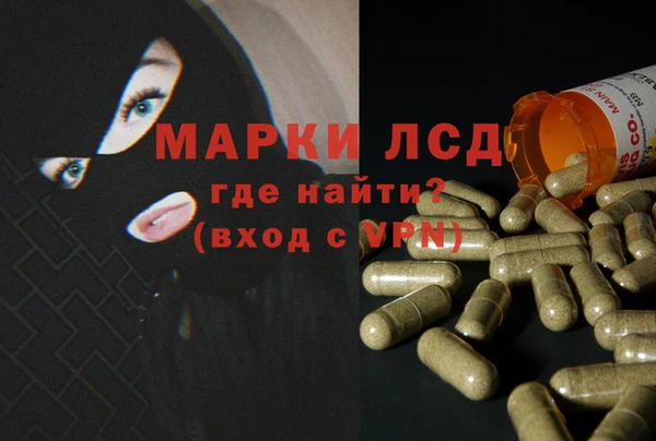 ГАЛЛЮЦИНОГЕННЫЕ ГРИБЫ Чердынь