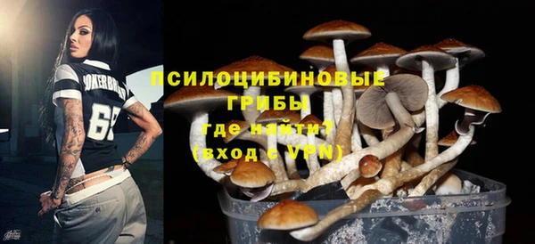 ГАЛЛЮЦИНОГЕННЫЕ ГРИБЫ Чердынь