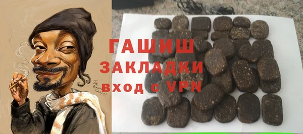 гашик Ладушкин