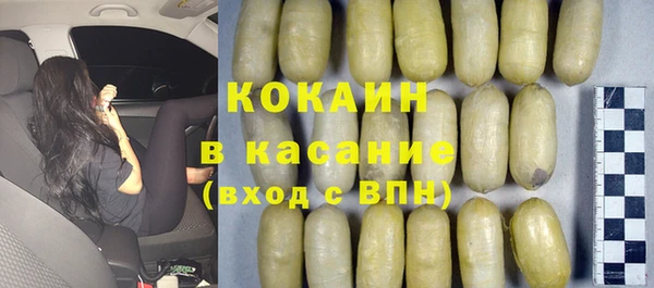 прущие грибы Чекалин