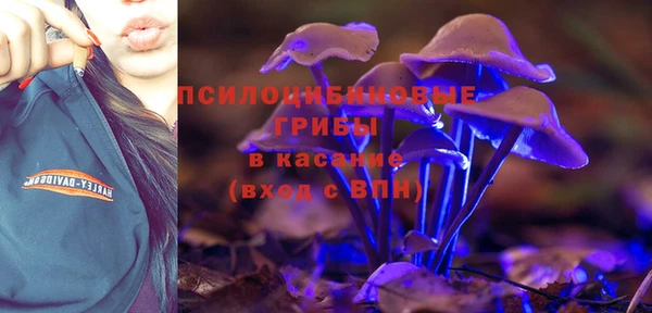 ГАЛЛЮЦИНОГЕННЫЕ ГРИБЫ Чердынь
