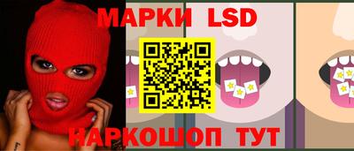 PSILOCYBIN Донской