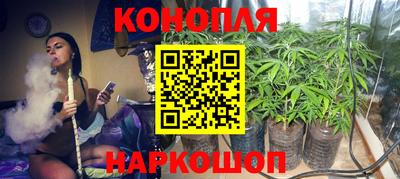 PSILOCYBIN Донской