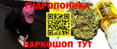 мяу мяу мука Беслан