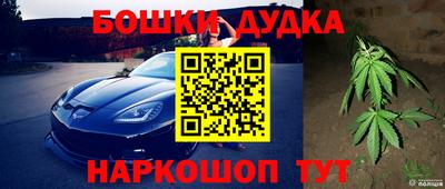 гашик Донецк