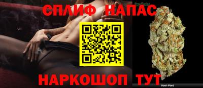 гашик Донецк