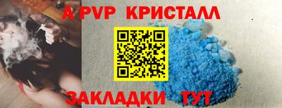 гашик Донецк