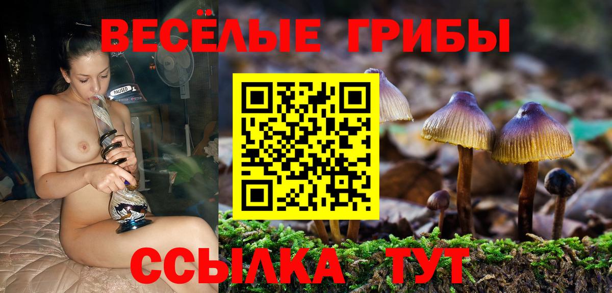 Иркутск  Псилоцибиновые грибы мухоморы  Псилоцибиновые грибы мухоморы  Вход с VPN 