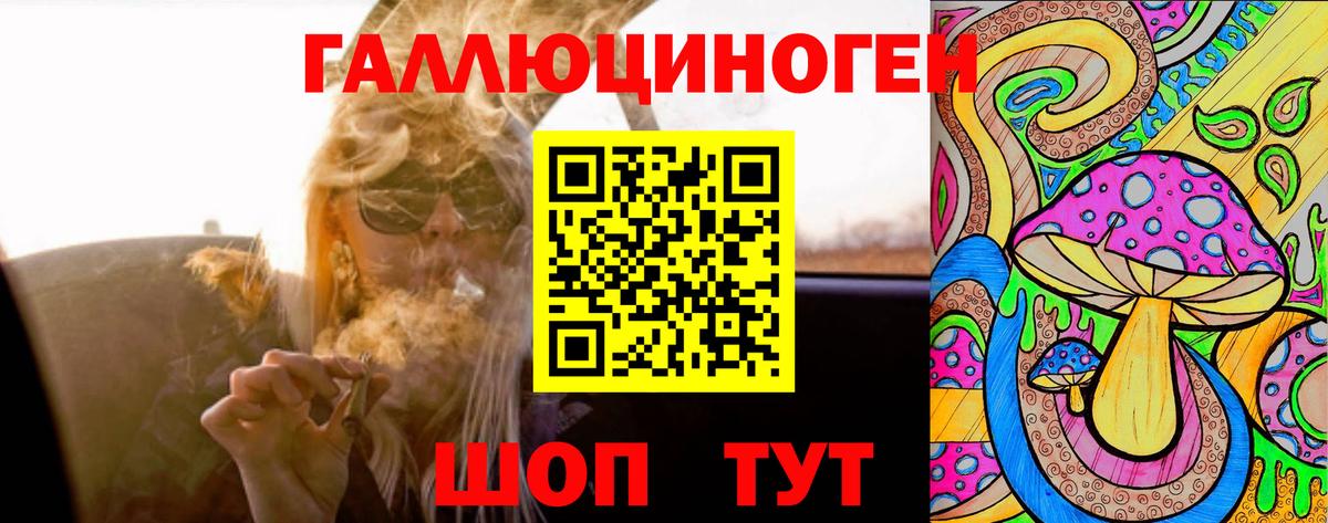 Псилоцибиновые грибы GOLDEN TEACHER  Иркутск  Псилоцибиновые грибы MAGIC MUSHROOMS 
