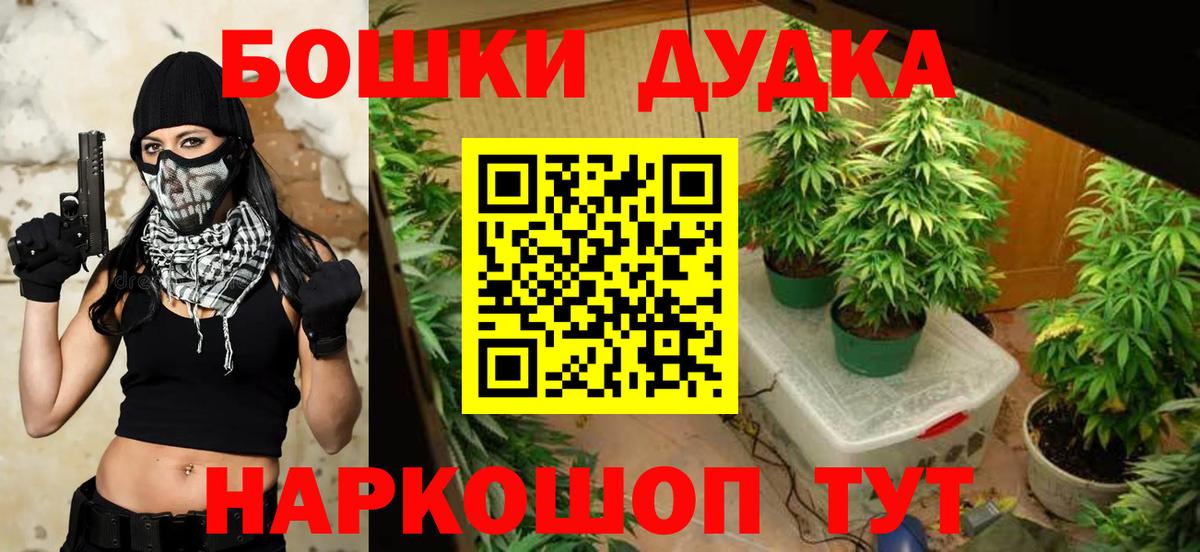 Конопля ГИДРОПОН  Шишки марихуана сатива  Иркутск  Марихуана VHQ  Бошки марихуана конопля 